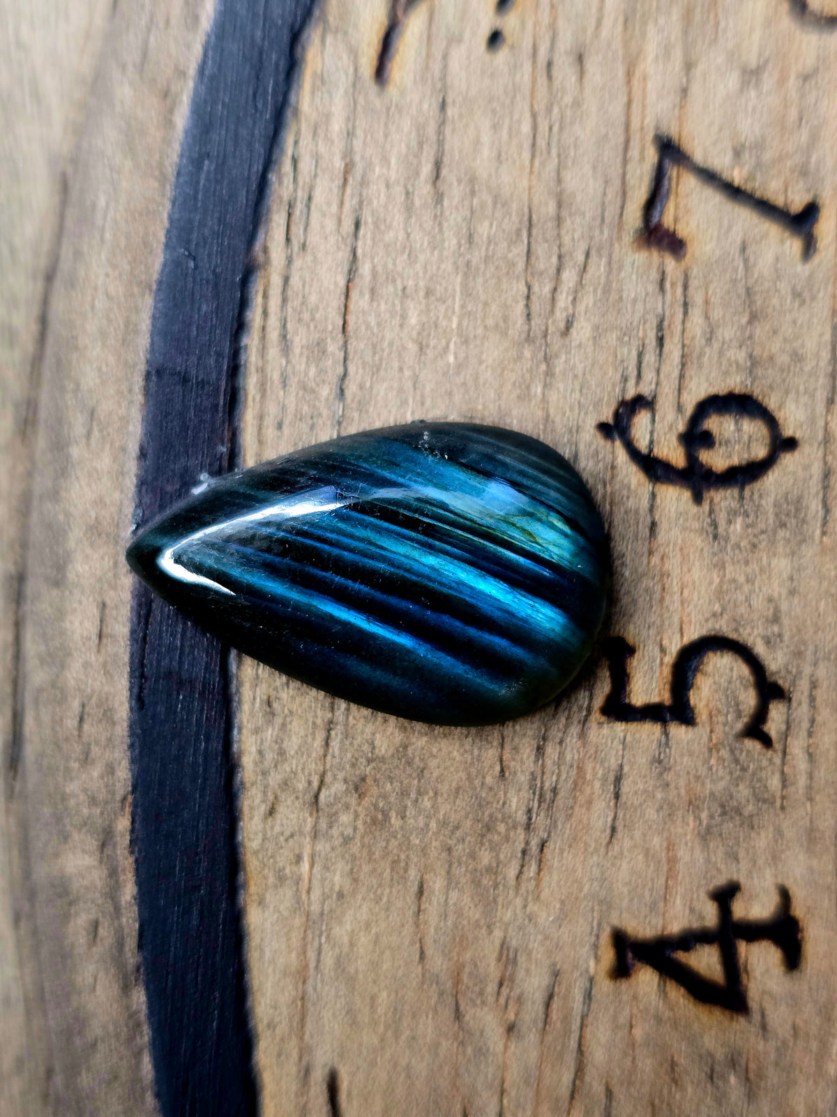 Psychograph | Nevermore Edition | Spirit Communication Dial